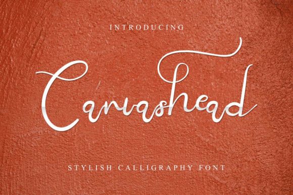 Canvashead: A Charming Handwritten Font for Web Design