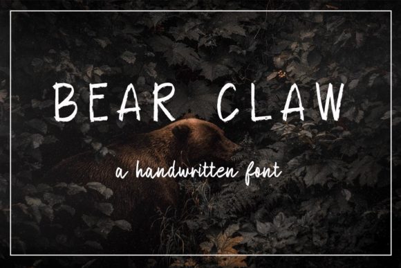 Enhance Your Editorial Design with Bear Claw Font